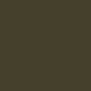 Dark military khaki