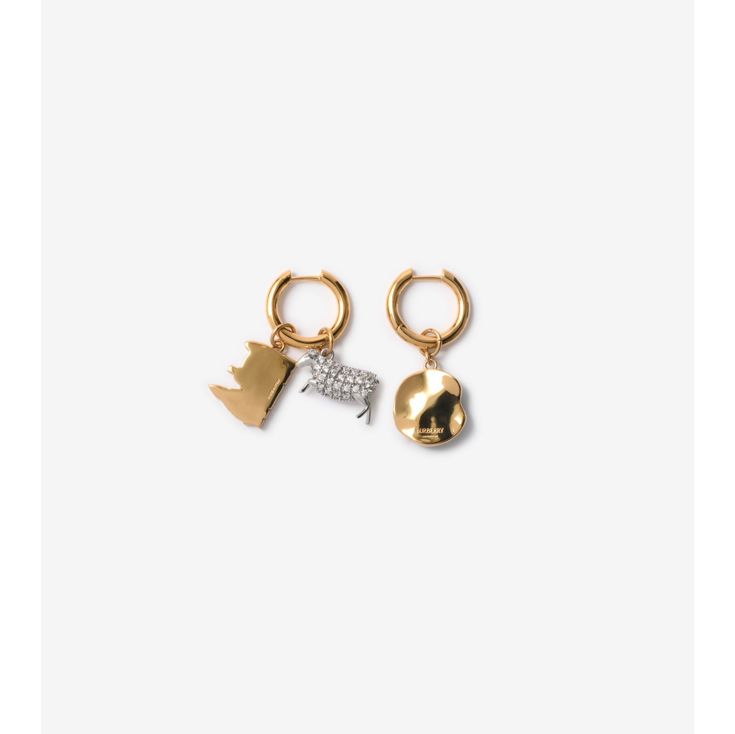 Charm Hoop Earrings​
