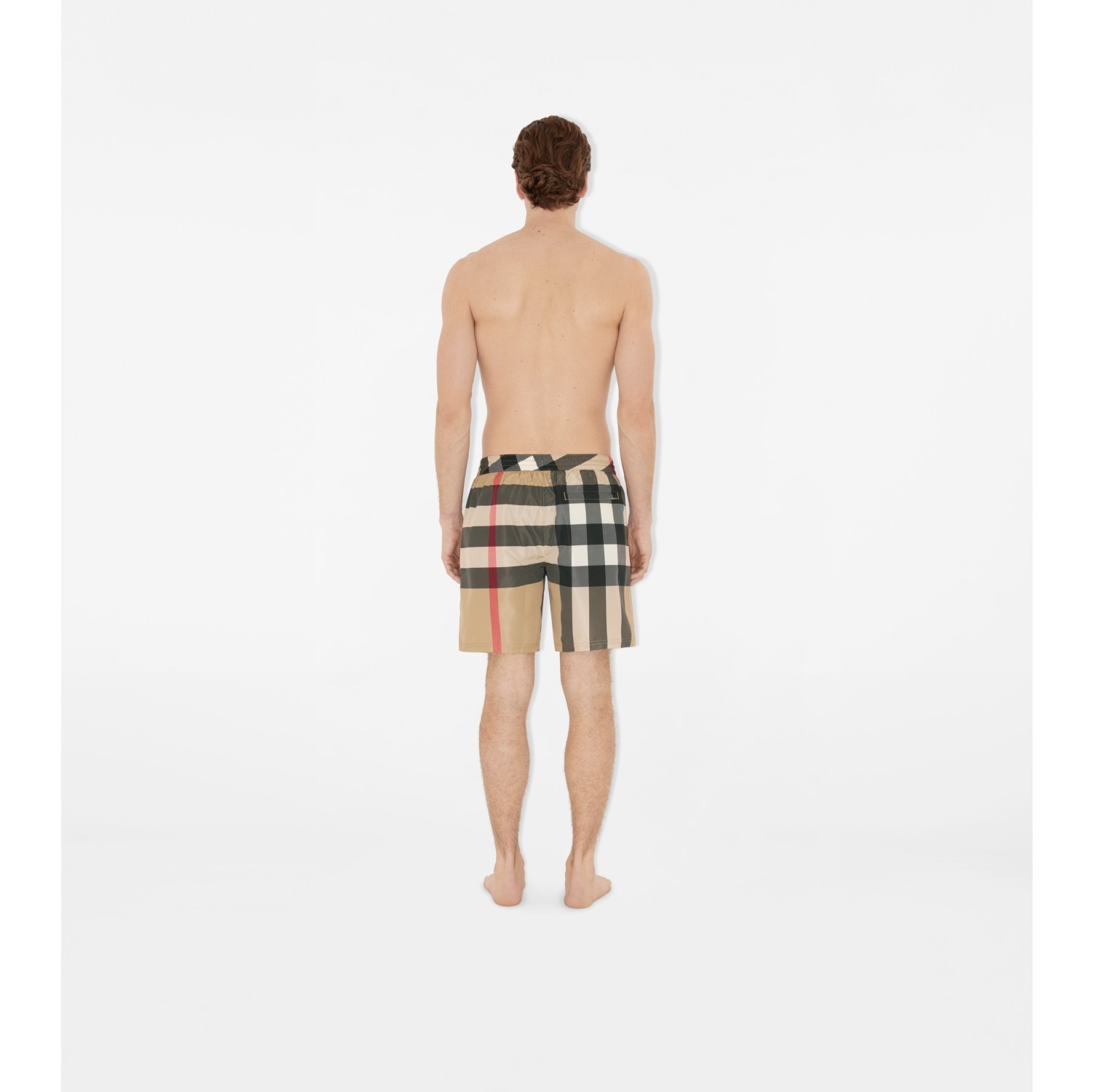 Boxer mare Check